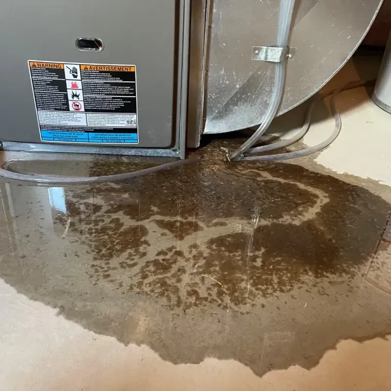 Appliance Leak Cleanup in Ahoskie, NC